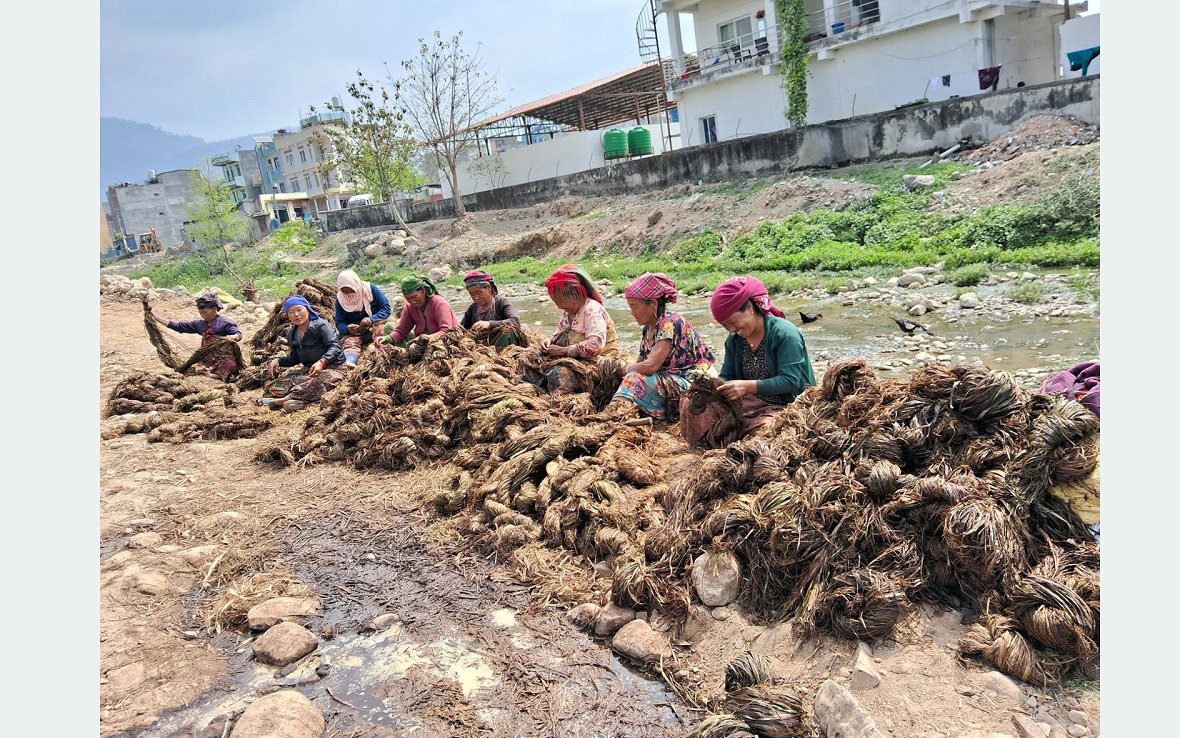 अल्लो उद्योगमा ३५ जना बढी महिलालाई रोजगारी