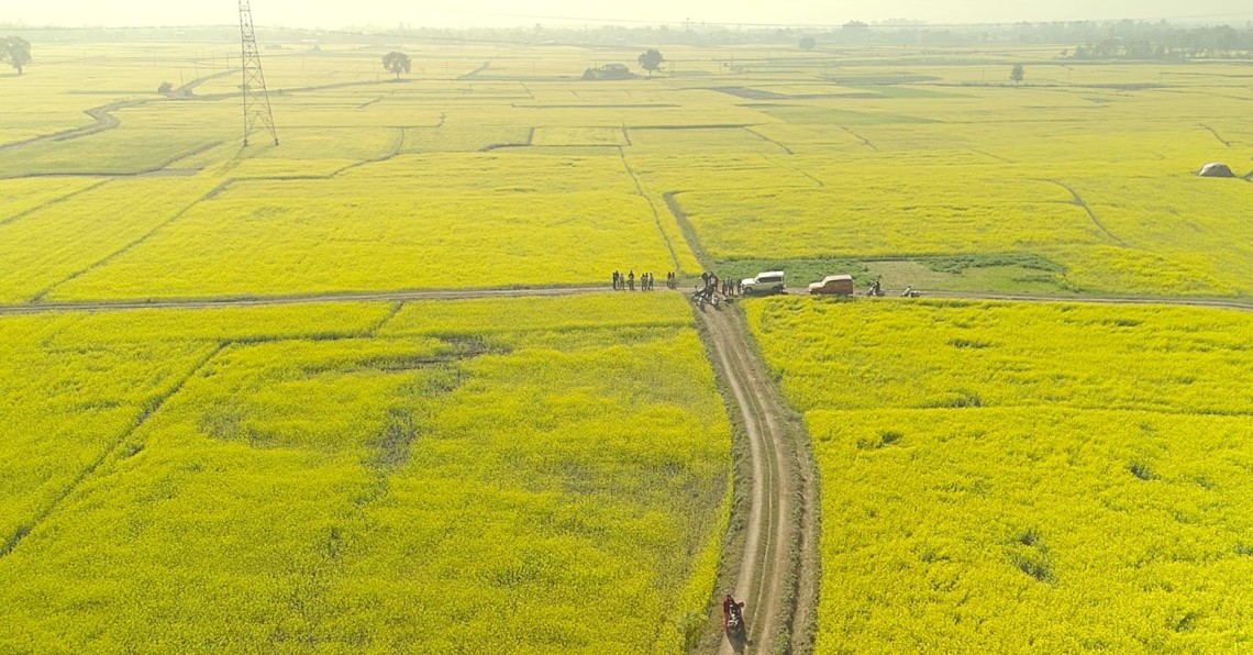 सिँचाइ पुगेपछि भेँडाबारीको गौचरनमा तोरीखेती