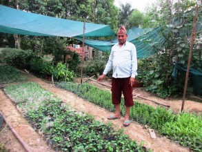 नर्सरी व्यवसायमा धामी परिवारका तीन दशक