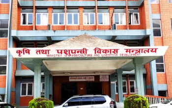 नेपाल सरकारका सहसचिव १३९ दिनदेखि सम्पर्कविहीन