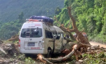 धादिङमा गुडिरहेको माइक्रो बसमाथि रुख खस्दा ७ जना घाइते