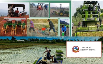 कृषि आधुनिकीकरण परियोजनाः गहुँ, धान र तोरी बालीको उत्पादकत्व वृद्धि