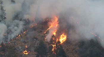 डढेलोले उदयपुरमा तीन सय हेक्टर वनमा क्षति