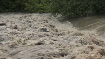 बाढी खेतमा पस्दा मकैबाली नष्ट