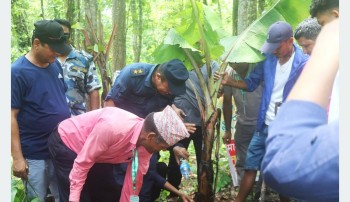 वन्यजन्तुको आहारका लागि सामुदायिक वनमा दश हजार बिरुवा रोपिए