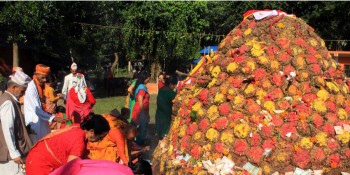 तिहारको चौँथो दिन आज : गोवर्द्धन पूजा