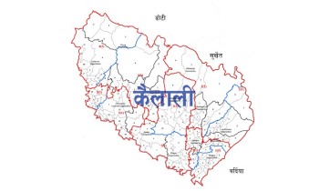 कैलालीमा चैते धान खेतीतर्फ आकर्षण बढ्दै