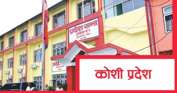 कोशी प्रदेशमा विषयगत समितिका सभापति निर्विरोध निर्वाचित