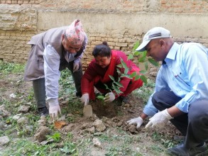 वायु प्रदुषण व्यवस्थापन नागरिक सञ्जालद्वारा स्वच्छ वातावरणीय मौलिक हकका लागि वृक्षाराेपण