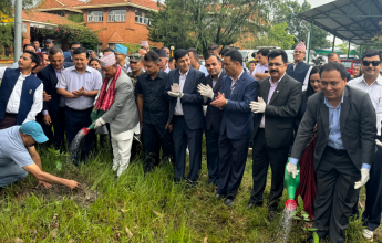 विद्युत प्राधिकरणका देशभरका कार्यालयद्धारा वृक्षरोपण