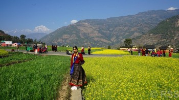 मौलिक पोसाक भाडामा लगाएर आम्दानी