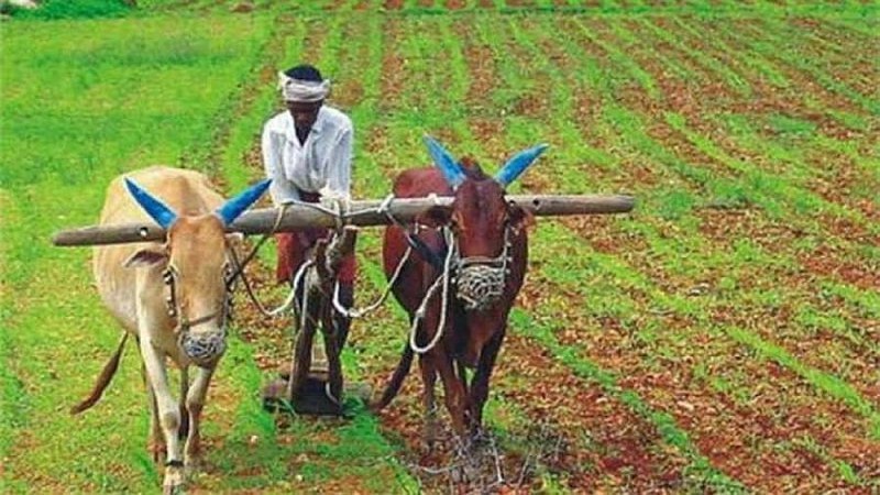 जीडीपीमा कृषि क्षेत्रको योगदान घट्यो