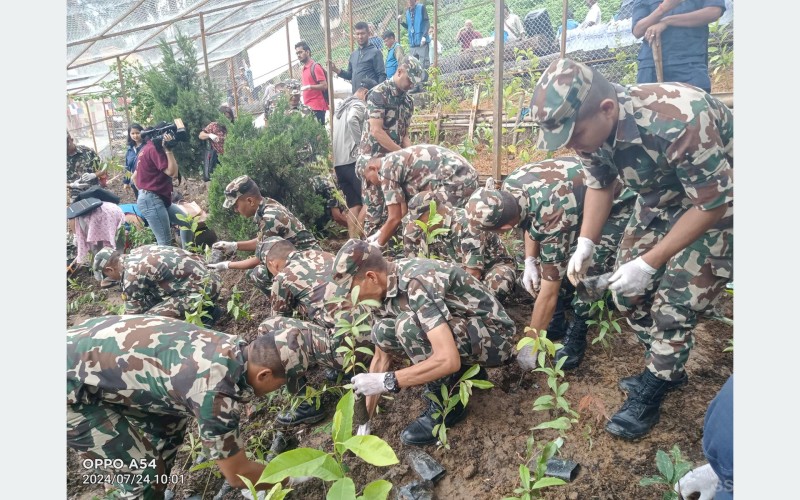 विश्व सम्पदास्थल स्वयम्भूमा वृक्षारोपण