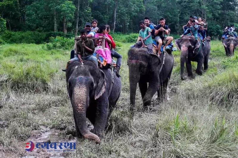 बर्दिया राष्ट्रिय निकुञ्जमा बढ्यो पर्यटकको चहलपहल