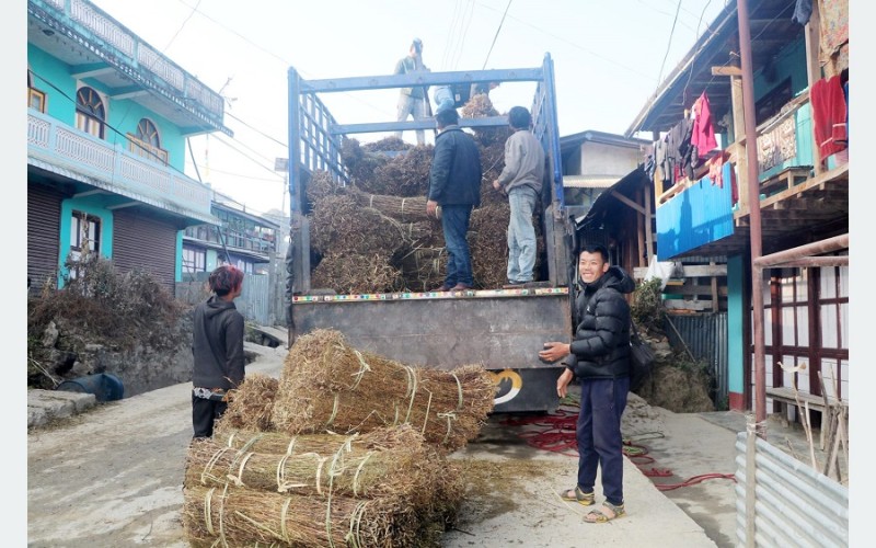 चिराइतो मूल्य बढ्दो, उत्पादन घढ्दो