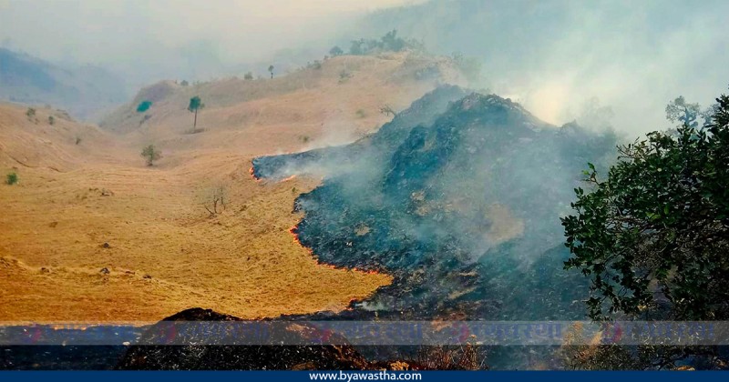 बाँकेका वनमा लागेको डढेलोले खरायो, सर्प र चरा मरे