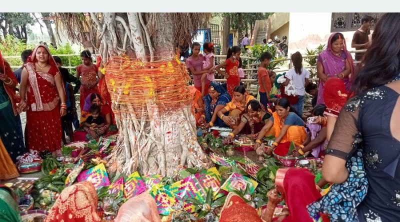 मिथिलाञ्चलमा वटसावित्री पर्व मनाइँदै