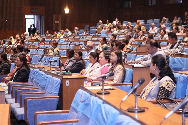 सांसदहरूद्वारा सदनमा बजेटका विविध पक्षको मिहिन विश्लेषण