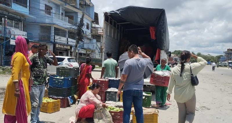 सुनसरीमा आँप उत्पादन घट्यो