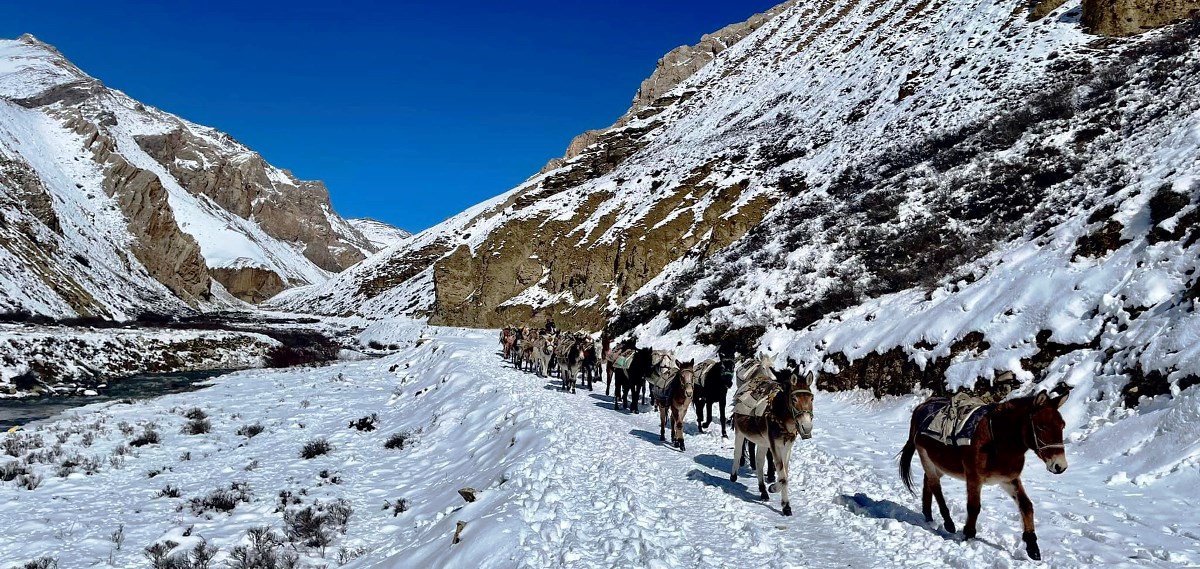 उपल्लो डोल्पाको मोरिम्ला नाका खोल्ने तयारी