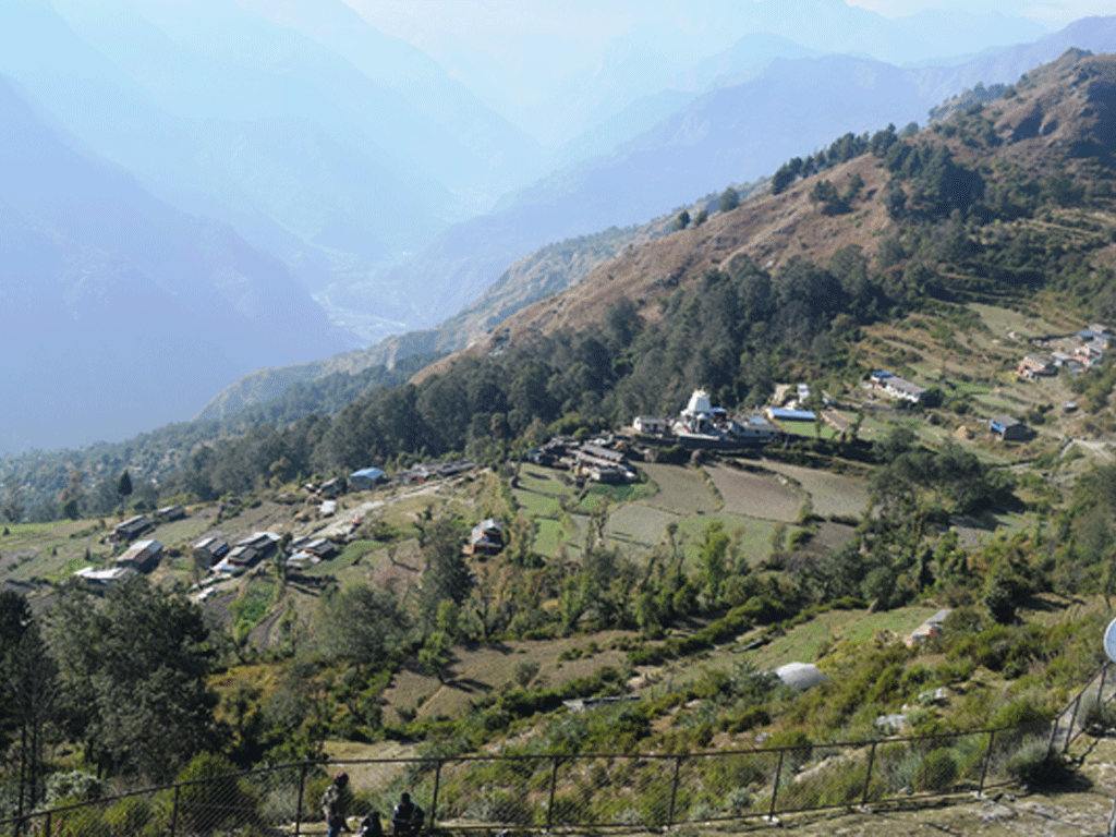 घरेलु मदिरा उत्पादन नहुँने ‘गाजने’ गाउँ