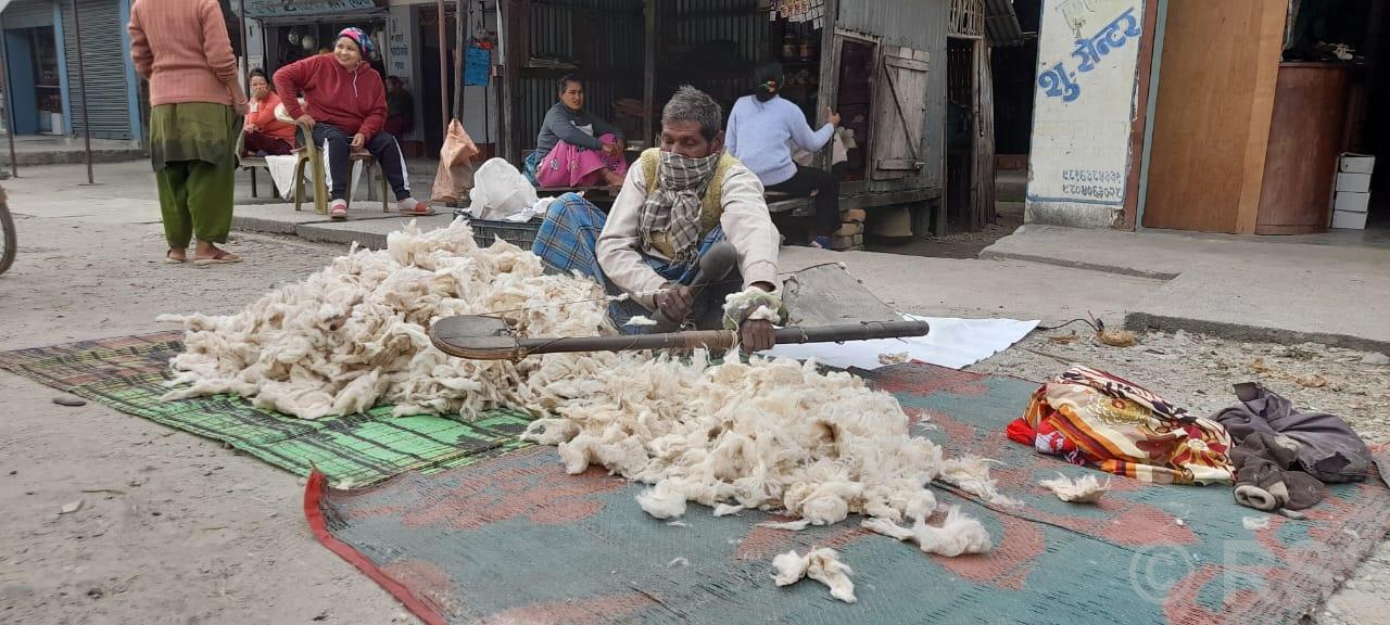 मोरङमा सिरक डसना बनाएर दैनिक एक हजार छ सयसम्म आम्दानी