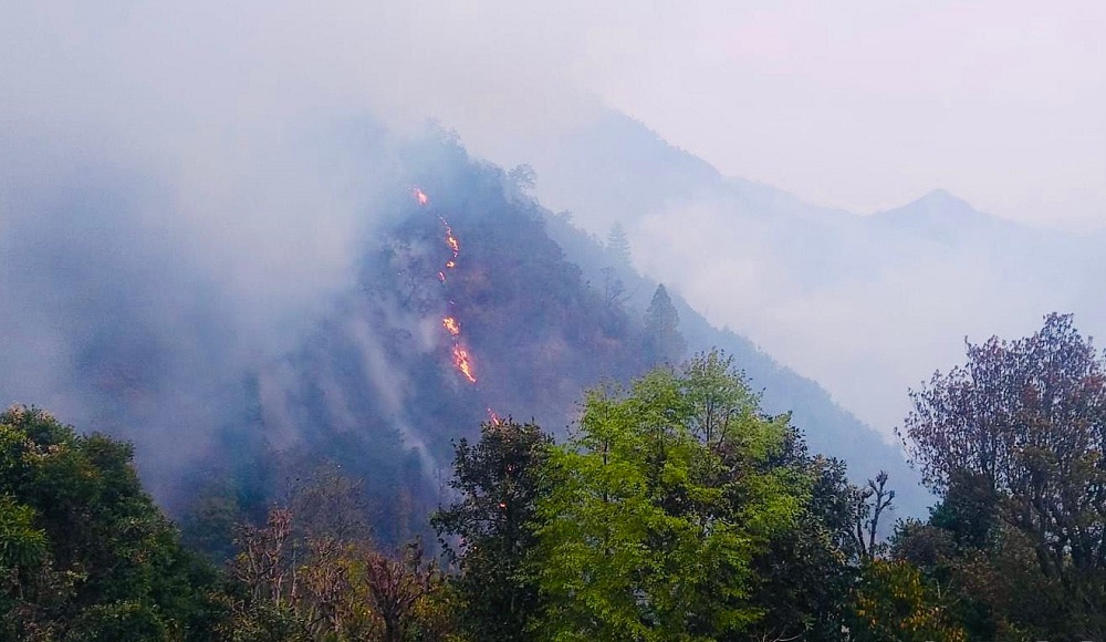 काभ्रेको आठ सय अठार हेक्टर वनमा आगलागी