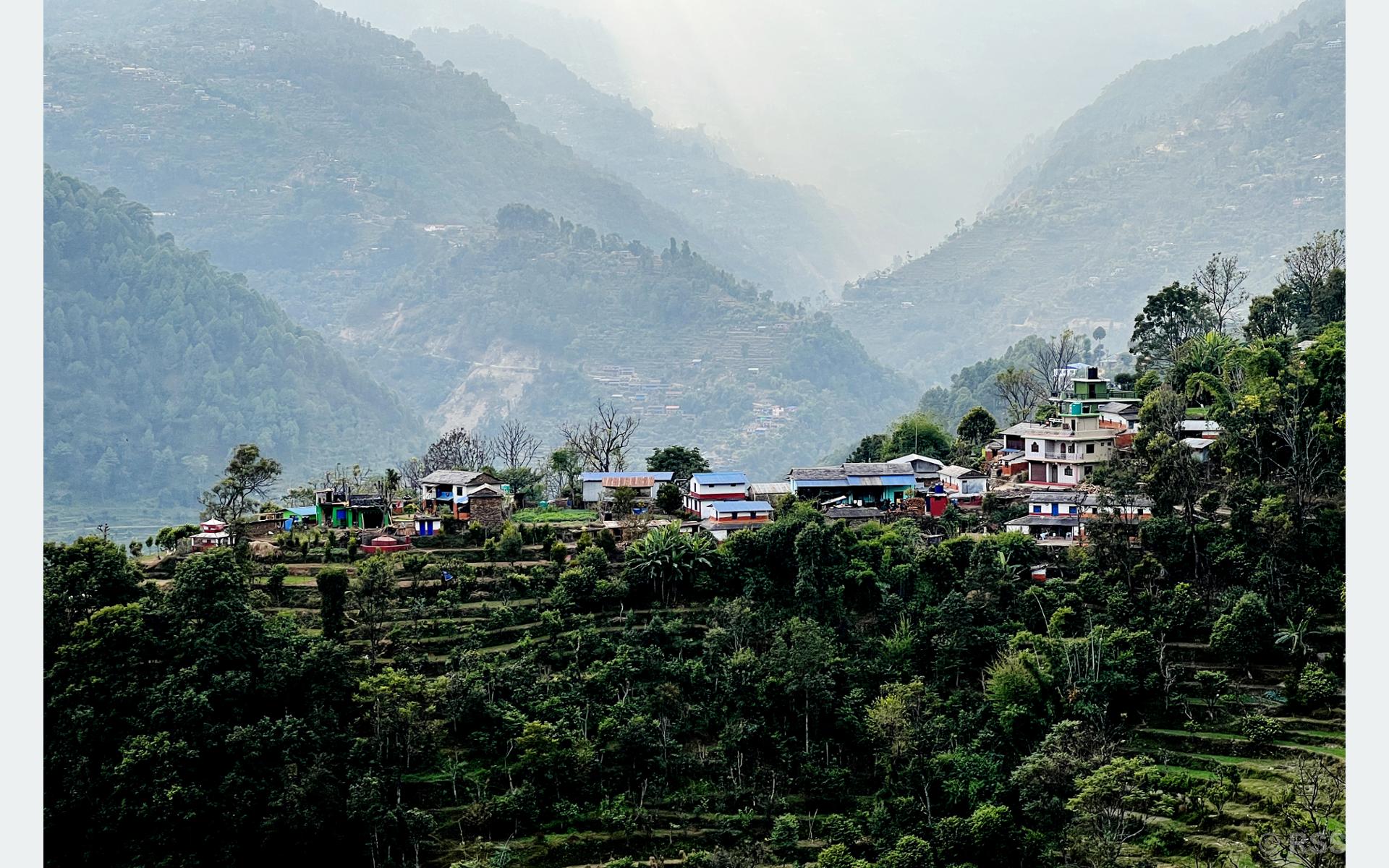 बसाइँसराइले रित्तिदै गाउँः बढ्यो बाँदर आतङ्क