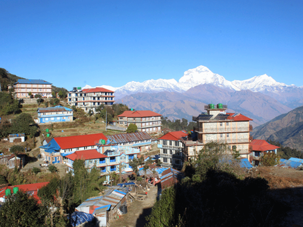 घोडेपानी र पुनहिल पर्यटकको रोजाइमा