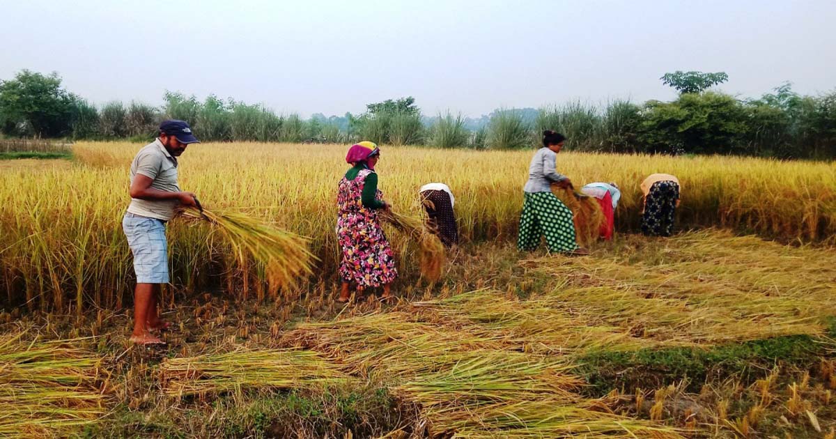 सरकारले किसानलाई पेन्सन उपलब्ध गराउने