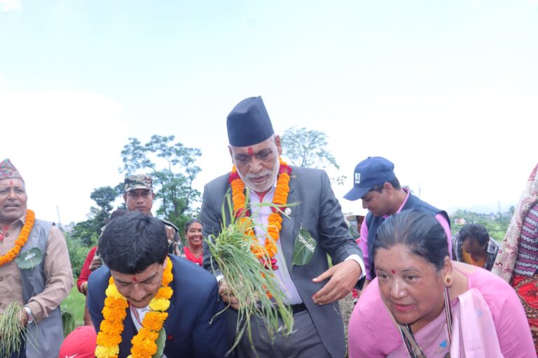 कोदो राष्ट्रिय दिवस घोषणा गर्ने प्रक्रिया अगाडि बढेको छ : कृषिमन्त्री अधिकारी