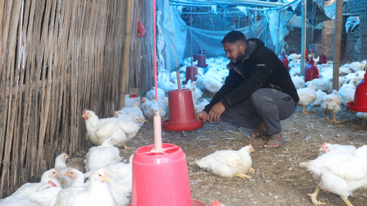 कृषिमा रमाउँदै भोजपुरका दीपक, वार्षिक १५ लाख आम्दानी