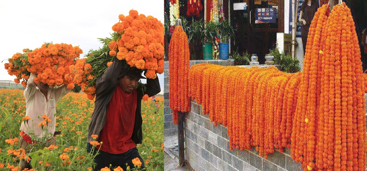 तिहारका लागि फूल र मालाको मूल्य निर्धारण