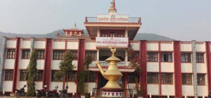 अपांगमैत्री छैनन् स्थानीय सरकार