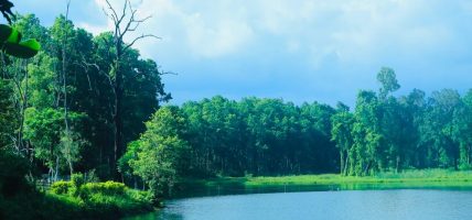 आन्तरिक पर्यटकको आकर्षण बन्दै मोरङको वेतना सिमसार