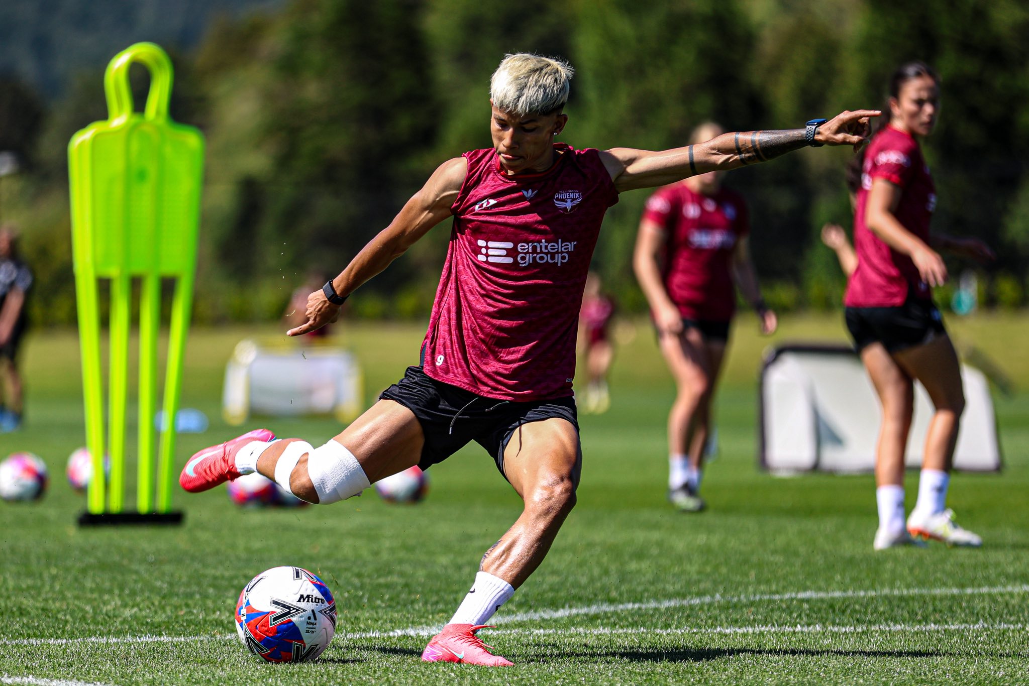 उपचारका लागि साम्बाको गुहार