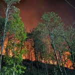 दैलेखको सल्लेरिचौर सामुदायिक वनमा लागेको आगलागी नियन्त्रणमा