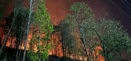 दैलेखको सल्लेरिचौर सामुदायिक वनमा लागेको आगलागी नियन्त्रणमा