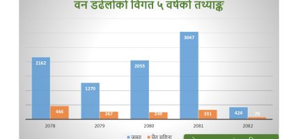 मनसुनपूर्व वर्षाले घट्यो वन डढेलो
