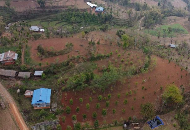 लुङ्गिनमा सुन्तलाको सुनौलो भविष्य: परम्परागत खेती छाड्दै किसानको नयाँ यात्रा लुङ्गिनमा सुन्तलाको सुनौलो भविष्य: परम्परागत खेती छाड्दै किसानको नयाँ यात्रा