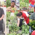 नर्सरीमा नयाँ पुस्ता, वार्षिक करोडौँको कारोबार
