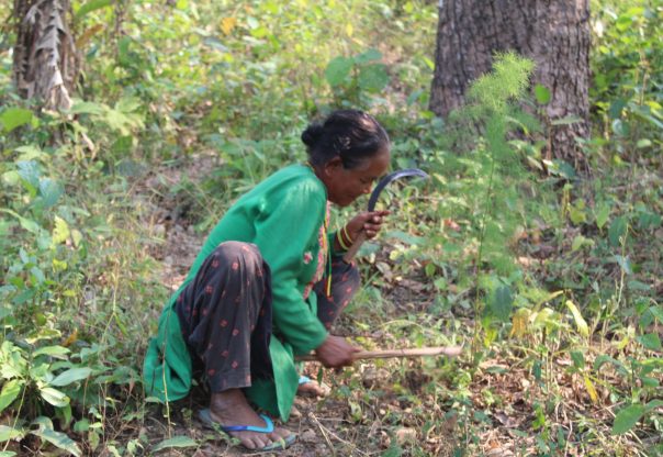 संस्कृति मात्र होइन, प्रथाजनिक अभ्यास