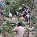 रोल्पाको जलजलामा जिप दुर्घटना, २० जनाको मृत्यु